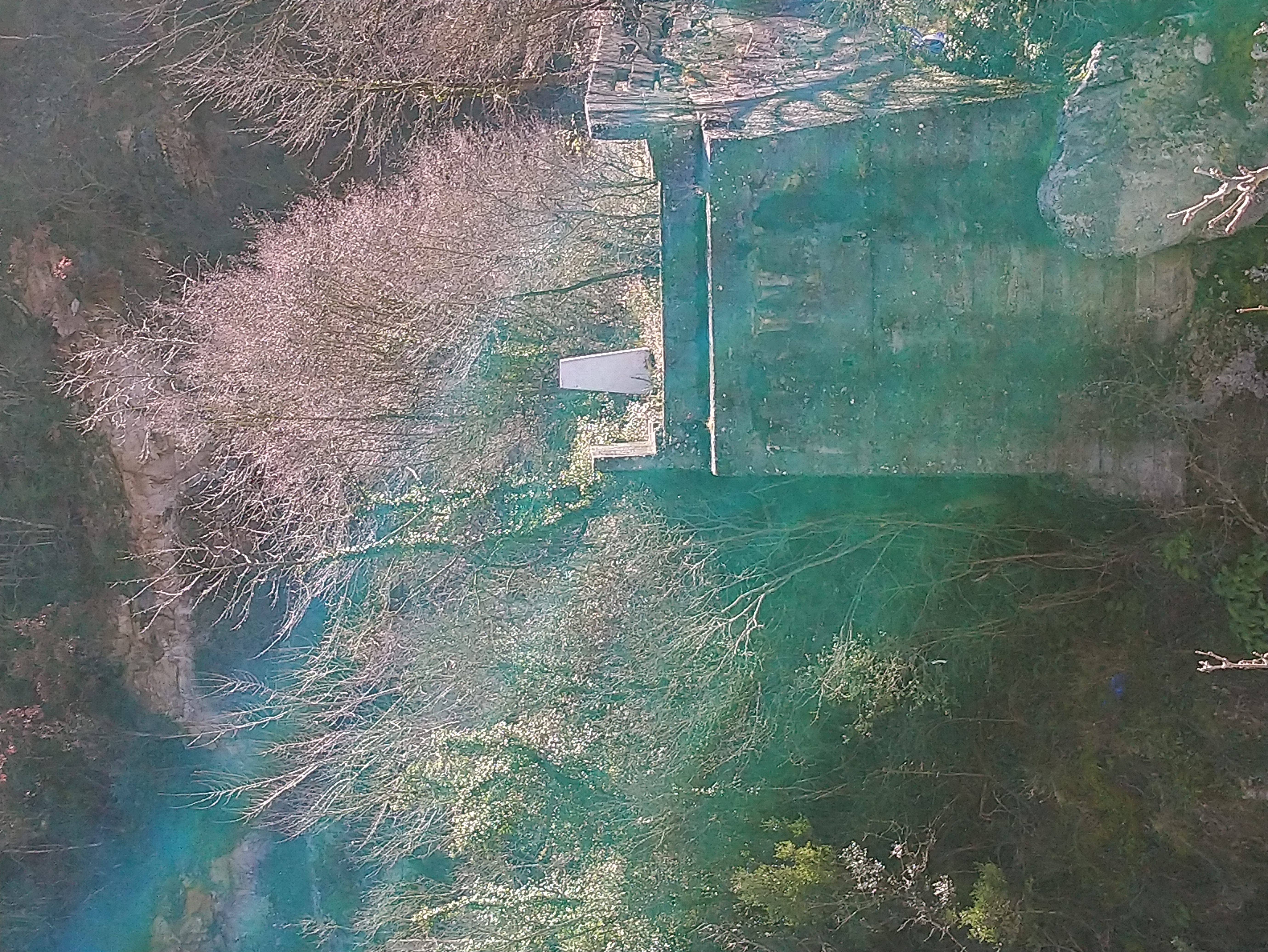 ponte2