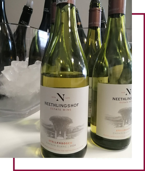 chenin #001