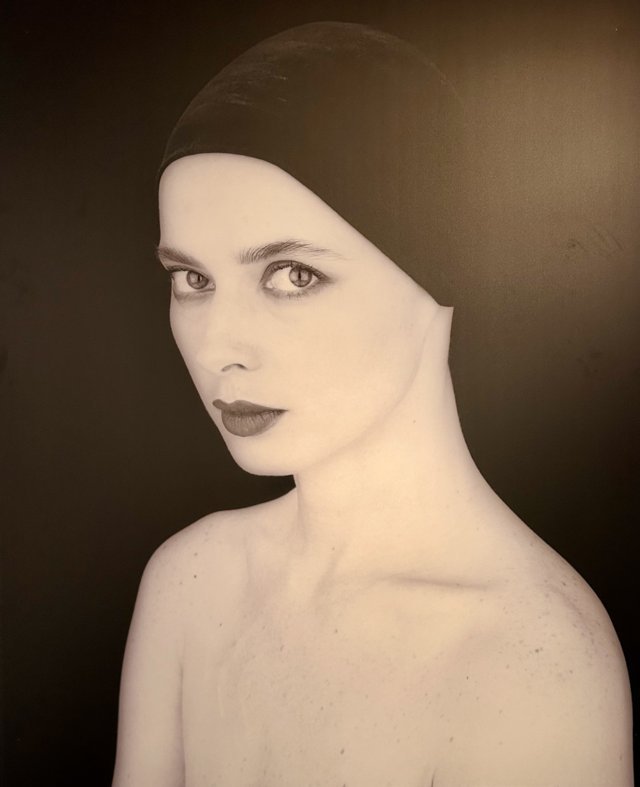 mapplethorpe rossellini