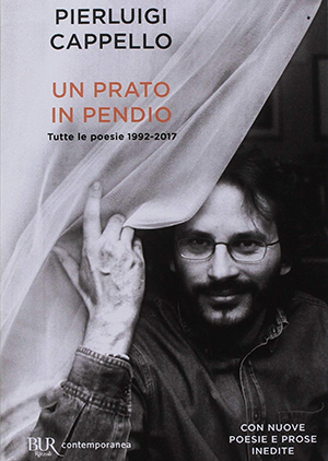 Un prato in pendio