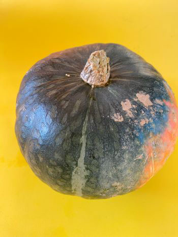 zucca al forno