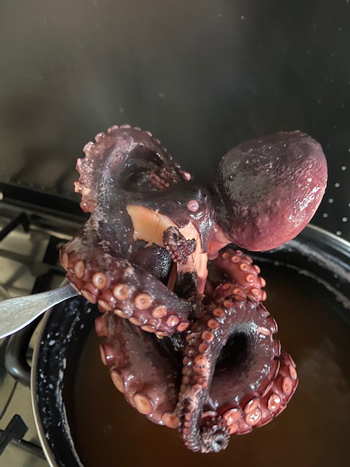 tentacoli gratinati - 04