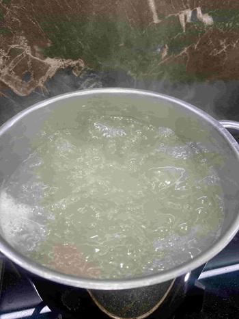 carbonara con noci - 19